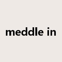 meddle in是什么意思