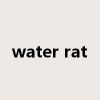 water rat是什么意思