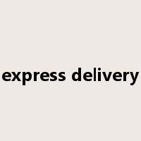 express delivery是什么意思