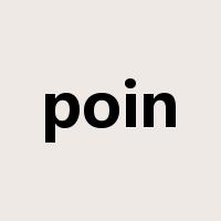 poin是什么意思