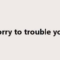 sorry to trouble you是什么意思