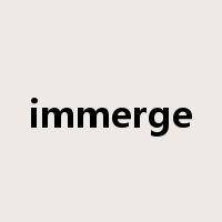 immerge是什么意思