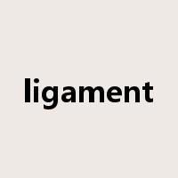 ligament是什么意思
