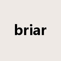 briar是什么意思