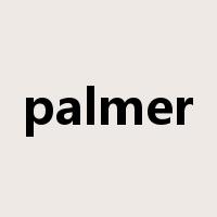 palmer是什么意思