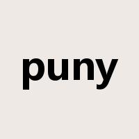 puny是什么意思