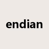 endian是什么意思