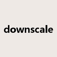 downscale是什么意思