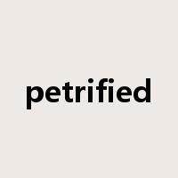 petrified是什么意思