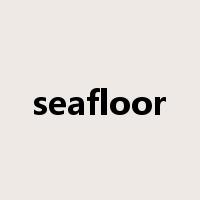 seafloor是什么意思