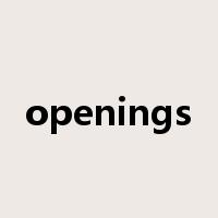 openings是什么意思
