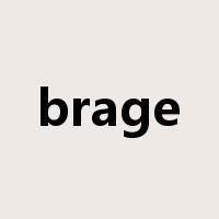 brage是什么意思