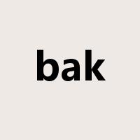 bak是什么意思