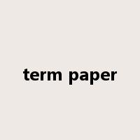 term paper是什么意思