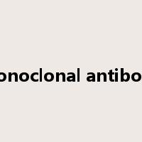 monoclonal antibody是什么意思