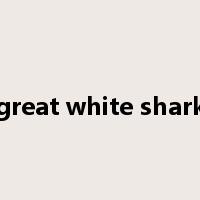 great white shark是什么意思