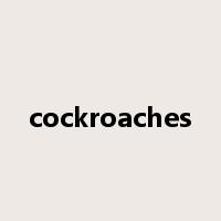 cockroaches是什么意思