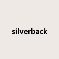 silverback是什么意思