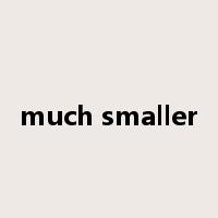 much smaller是什么意思