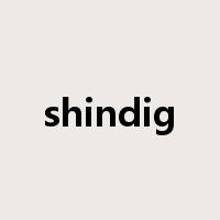 shindig是什么意思