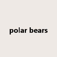 polar bears是什么意思