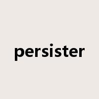 persister是什么意思