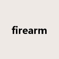 firearm是什么意思