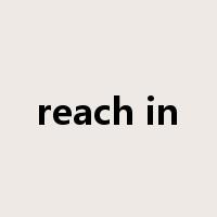 reach in是什么意思