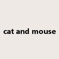 cat and mouse是什么意思