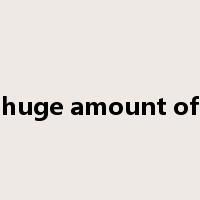 huge amount of是什么意思