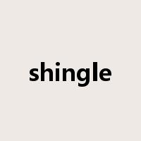 shingle是什么意思