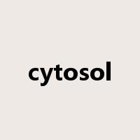 cytosol是什么意思