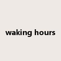 waking hours是什么意思
