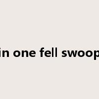 in one fell swoop是什么意思