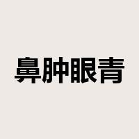 鼻肿眼青是什么意思