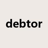 debtor是什么意思