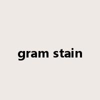 gram stain是什么意思