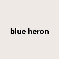 blue heron是什么意思