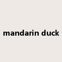 mandarin duck是什么意思