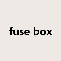 fuse box是什么意思