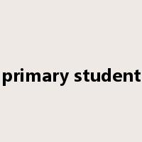 primary student是什么意思