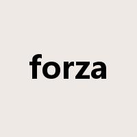 forza是什么意思