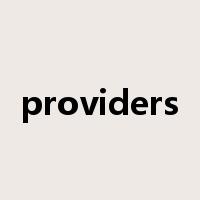 providers是什么意思