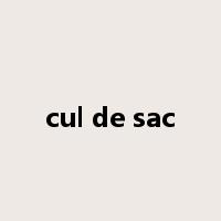 cul de sac是什么意思