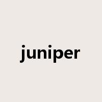 juniper是什么意思