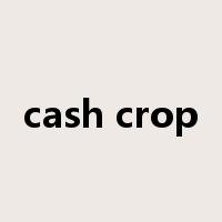 cash crop是什么意思