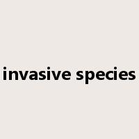 invasive species是什么意思