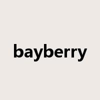 bayberry是什么意思