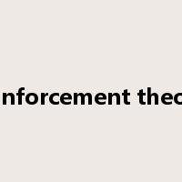 reinforcement theory是什么意思