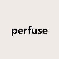 perfuse是什么意思